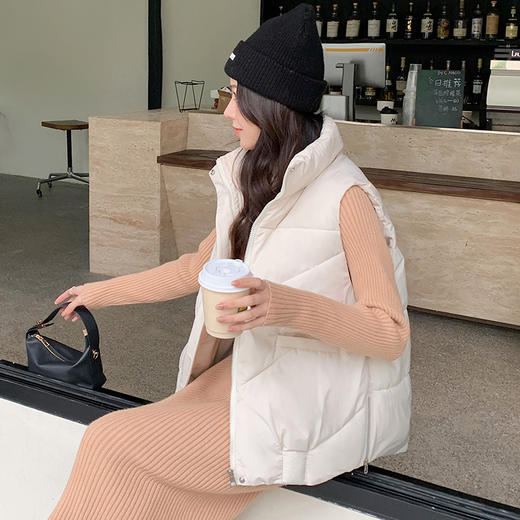 秋冬韩版时髦百搭宽松马甲女新款马甲女短款立领时尚洋气坎肩外套 商品图1