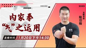 11月20日 内家拳“气”之运用