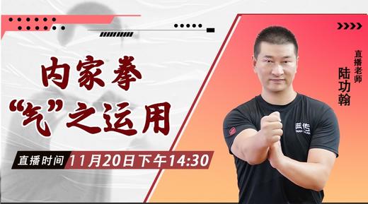 11月20日 内家拳“气”之运用 商品图0