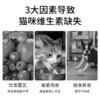 唯特适vetwish 复合维生素B 犬猫通用40g/瓶 商品缩略图1
