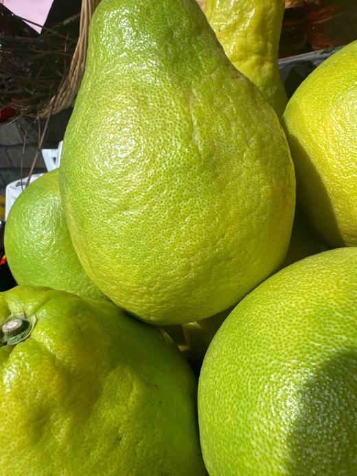 梅州柚子 商品图0