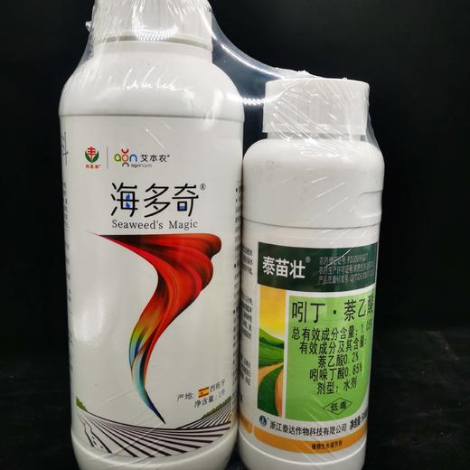 海多奇果树移栽生根组合 商品图2