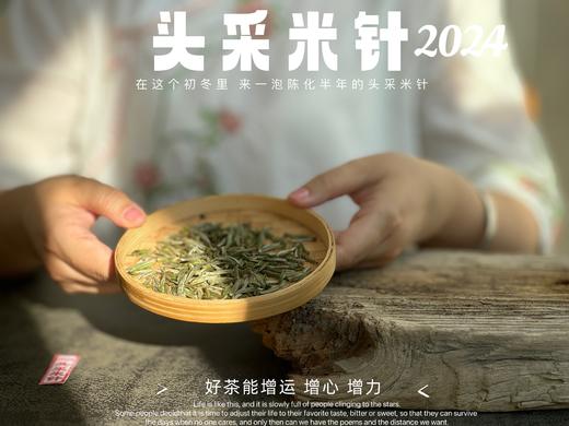 【2024春茶】姗姗来迟的2024头采米针，春白茶“鲜度”的代表之作，极清新、极空灵、也极诱人！ 商品图6
