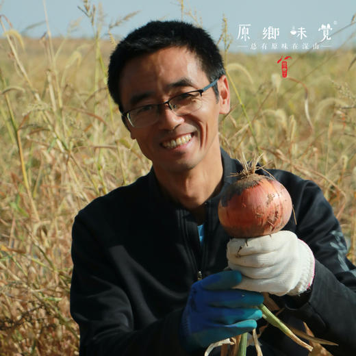 阿拉善生态洋葱（农场直发-顺丰包邮）| 5斤/件，来自内蒙古阿拉善大漠，生产者：马彦伟【合作生产，公平贸易】 商品图4