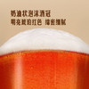 MM 山姆 沃斯坦（Warsteiner）德国进口 冬日啤酒 3.96L（330ml*12） 商品缩略图6
