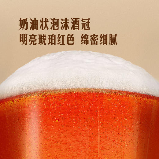 MM 山姆 沃斯坦（Warsteiner）德国进口 冬日啤酒 3.96L（330ml*12） 商品图6