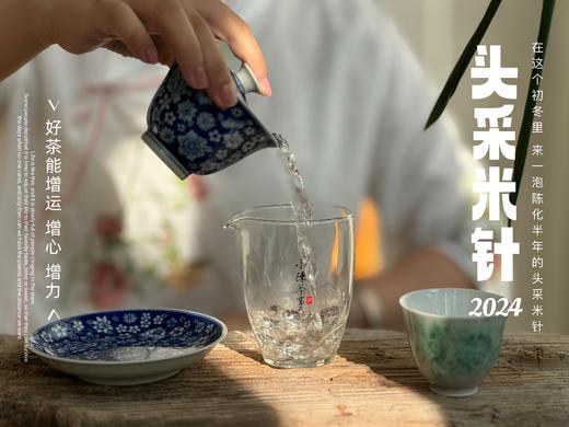 【2024春茶】姗姗来迟的2024头采米针，春白茶“鲜度”的代表之作，极清新、极空灵、也极诱人！ 商品图10