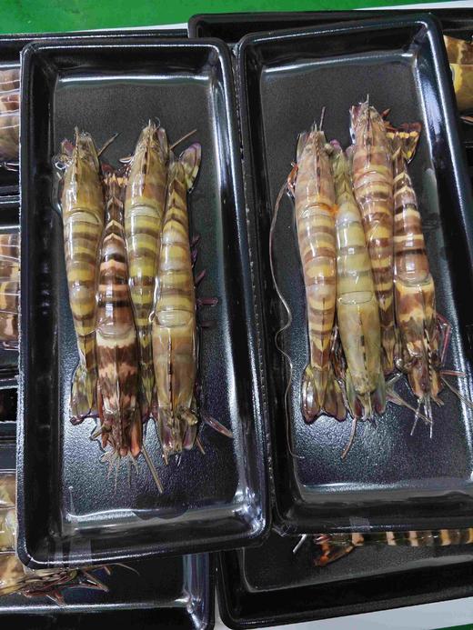 【野生】超低温 特大虎虾 商品图4