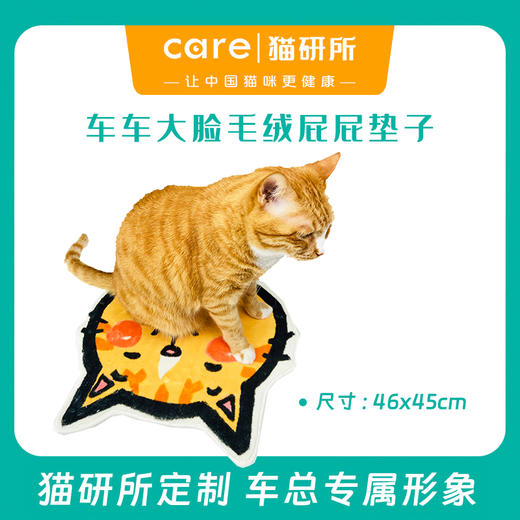 猫研所 周边限定车车大脸毛绒屁屁垫 秋冬专属 人宠通用 46x45cm 商品图0