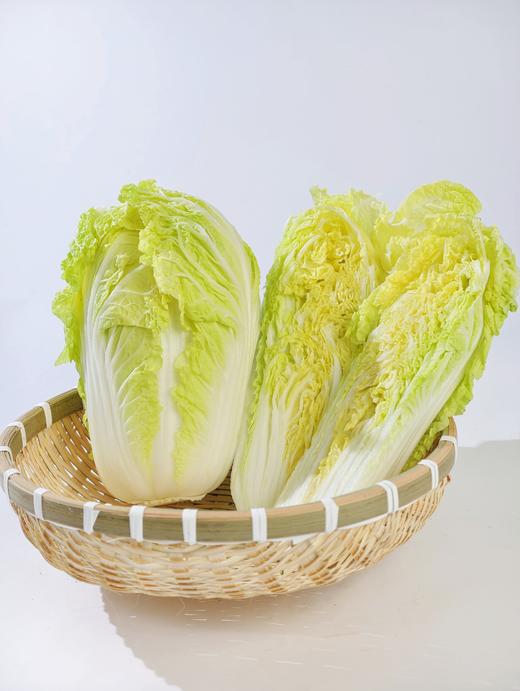 娃娃菜 500g 商品图2