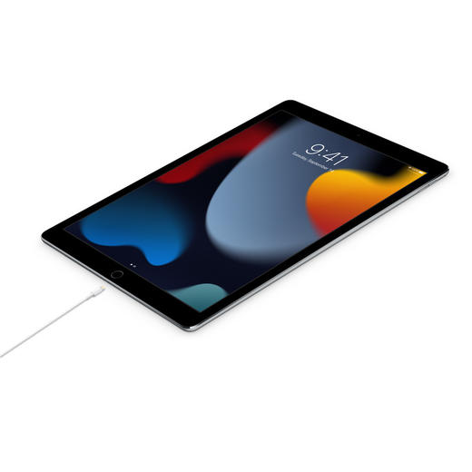 Apple/苹果 USB-C 转闪电连接线（1米） 商品图1