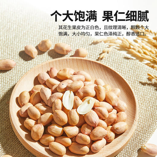 燕之坊红皮花生仁 饱满真空包装可干吃煮粥做菜 商品图7
