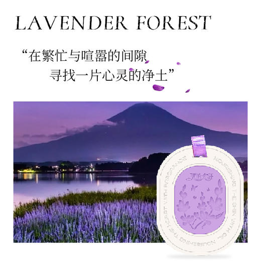 新疆伊帕尔汗薰衣草味持久留香石膏香片衣柜香薰卧室官方旗舰店50g 商品图3