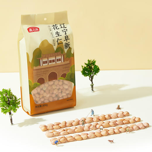 燕之坊红皮花生仁 饱满真空包装可干吃煮粥做菜 商品图5