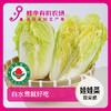 娃娃菜 500g 商品缩略图0