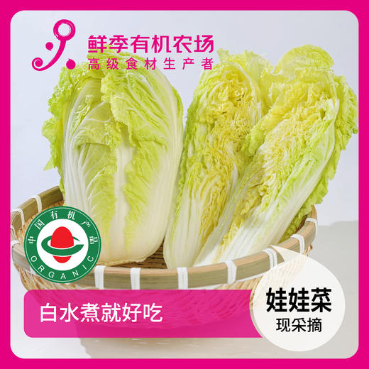 娃娃菜 500g 商品图0