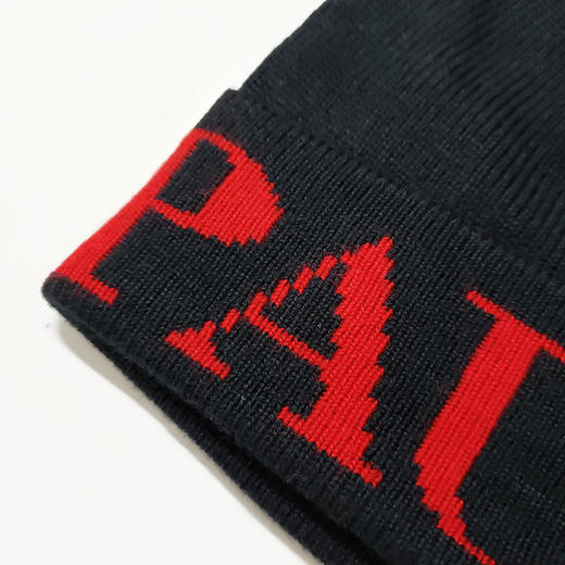 鲨鱼 撞色字母 刺绣小方标 针织帽/毛线帽/滑雪帽 PSS171 商品图3