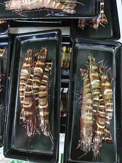 【野生】超低温 特大虎虾 商品图5