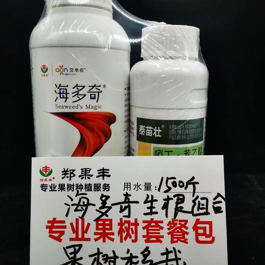 海多奇果树移栽生根组合 商品图1