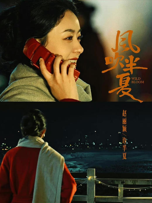 品牌直发❗️原价💰439元【AUChris羊绒羊毛围巾/披肩专场】高品质羊绒，亲肤不扎人⚠️赵丽颖、林一等明星同款，超百搭 ✅高奢羊绒面料，品质极好，柔软且蓄热🔺12色可选丨品牌直发 商品图11