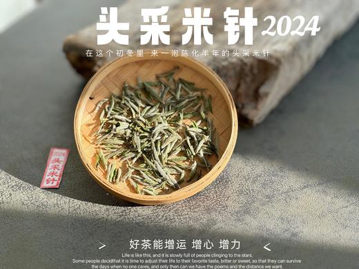【2024春茶】姗姗来迟的2024头采米针，春白茶“鲜度”的代表之作，极清新、极空灵、也极诱人！ 商品图5