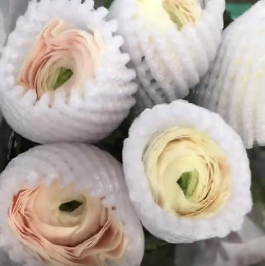 河内～洋牡丹（香槟色） 商品图0