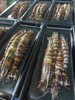 【野生】超低温 特大虎虾 商品缩略图7