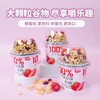 CR畅跑100℅生牛乳奶源酸奶(菠萝蜜/草莓味)180g 商品缩略图1