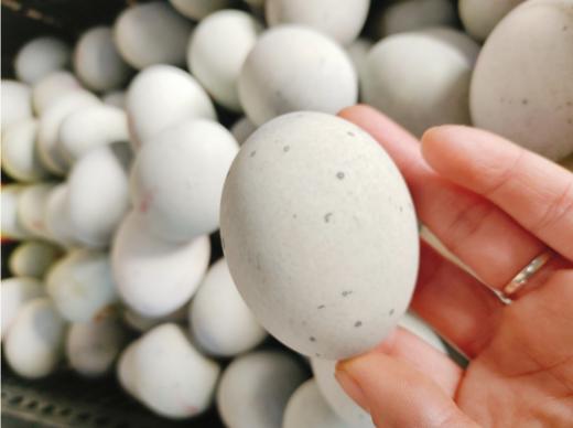 松花蛋10个 商品图1