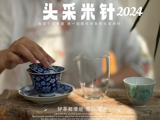 【2024春茶】姗姗来迟的2024头采米针，春白茶“鲜度”的代表之作，极清新、极空灵、也极诱人！ 商品图9
