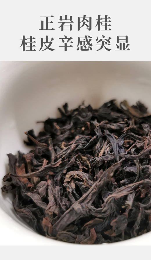 武夷核心正岩 传统肉桂 6泡*8.3克约50克 荔枝木碳焙 辛辣气明显 花果香岩韵均好 商品图2