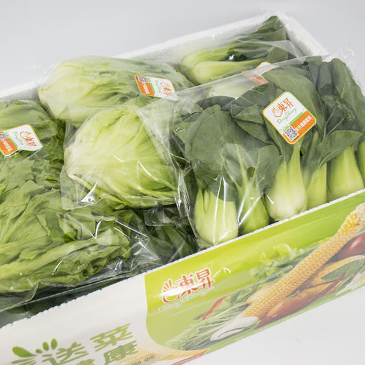 【湖南新田专供】供港心意蔬菜组合 自由基地直供 供港品质 健康放心约3550g 商品图4