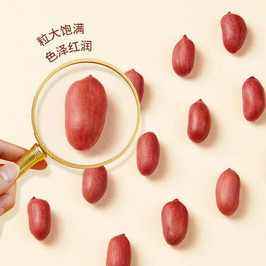 燕之坊红皮花生仁 饱满真空包装可干吃煮粥做菜 商品图1