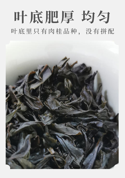 武夷核心正岩坑涧茶 野猪穴 肉桂 9泡/75克  商品图5