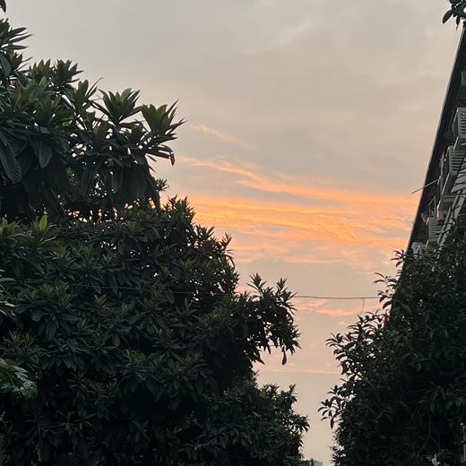 菓菓测试 商品图0