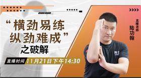 11月21日 横劲易练 纵劲难成.——之破解