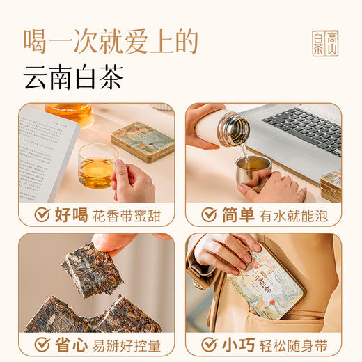 澜沧古茶2020年云白金4年陈高山贡眉云南白茶品鉴装30g/手冲普洱袋泡熟茶40g（仅茶博会线下自提，其他拍下不发货，不退不换，介意慎拍） 商品图2