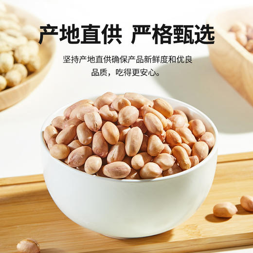 燕之坊红皮花生仁 饱满真空包装可干吃煮粥做菜 商品图6
