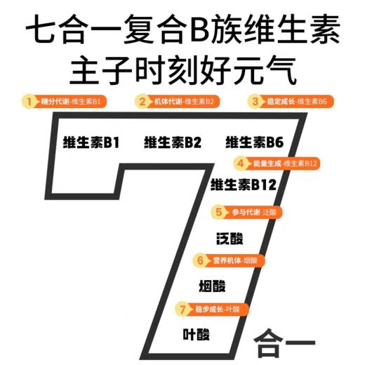 唯特适vetwish 复合维生素B 犬猫通用40g/瓶 商品图2