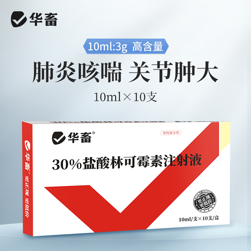 【社群专享】华畜兽药 盐酸林可霉素注射液10ml*10支 肺炎咳喘 关节肿大 仔猪黄白痢