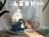 【2024春茶】姗姗来迟的2024头采米针，春白茶“鲜度”的代表之作，极清新、极空灵、也极诱人！ 商品缩略图8