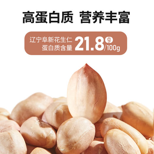 燕之坊红皮花生仁 饱满真空包装可干吃煮粥做菜 商品图8