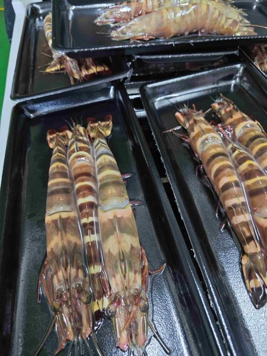 【野生】超低温 特大虎虾 商品图6