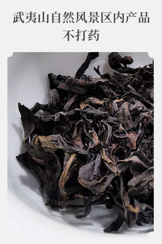 武夷核心正岩 奇兰 荔枝木碳焙 6泡*8.3克 约50克 商品图3