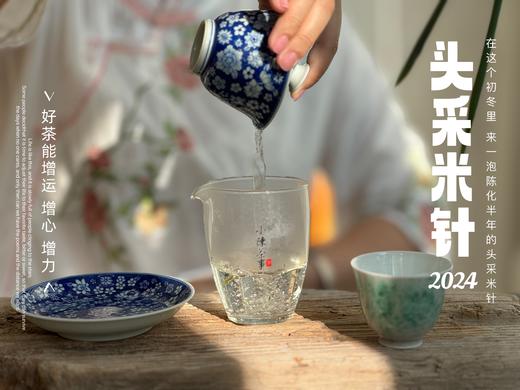 【2024春茶】姗姗来迟的2024头采米针，春白茶“鲜度”的代表之作，极清新、极空灵、也极诱人（1斤收藏装）！ 商品图6