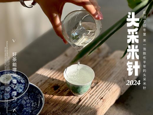 【2024春茶】姗姗来迟的2024头采米针，春白茶“鲜度”的代表之作，极清新、极空灵、也极诱人（1斤收藏装）！ 商品图8