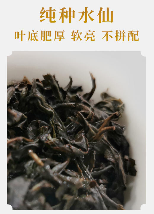 高枞水仙 正岩 荔枝木碳焙 6泡*8.3克 约50克 老枞味显 岩韵好 商品图5