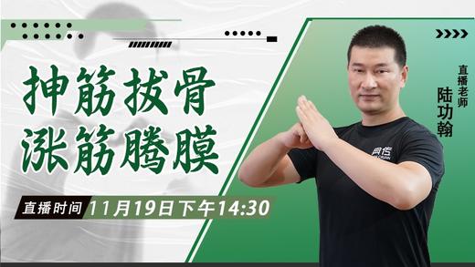 11月19日  抻筋拔骨 涨筋腾膜 商品图0