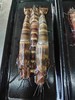 【野生】超低温 特大虎虾 商品缩略图2