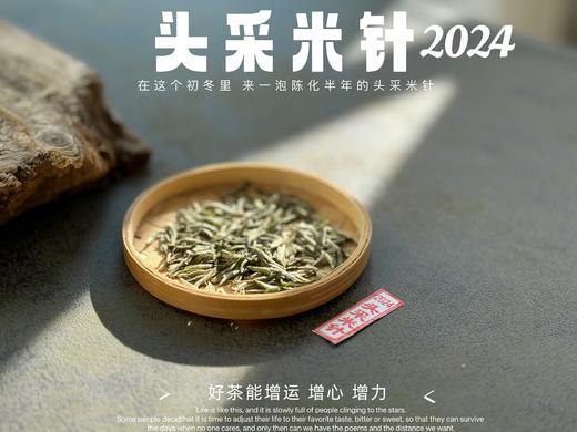 【2024春茶】姗姗来迟的2024头采米针，春白茶“鲜度”的代表之作，极清新、极空灵、也极诱人（1斤收藏装）！ 商品图1